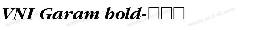 VNI Garam bold字体转换